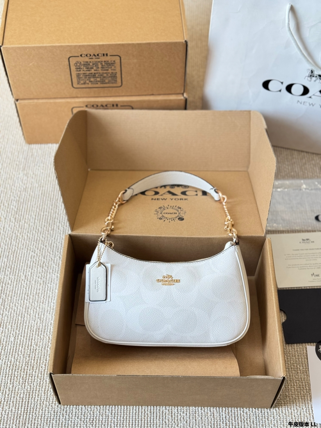 coach bag 262